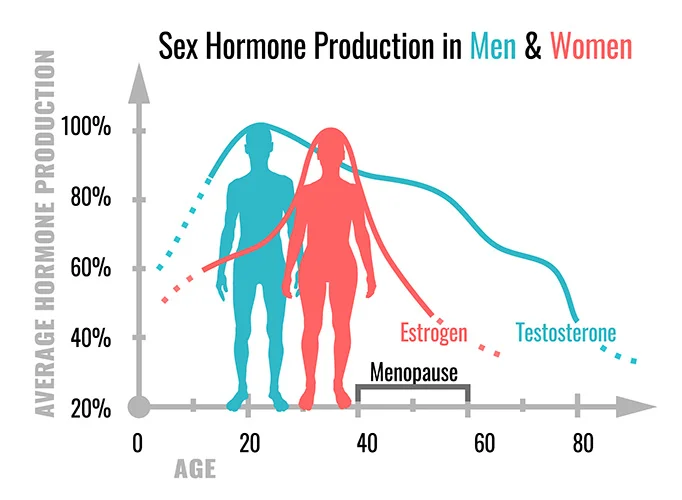Male & Female Weight Loss Hormones - Estrogen & Testosterone