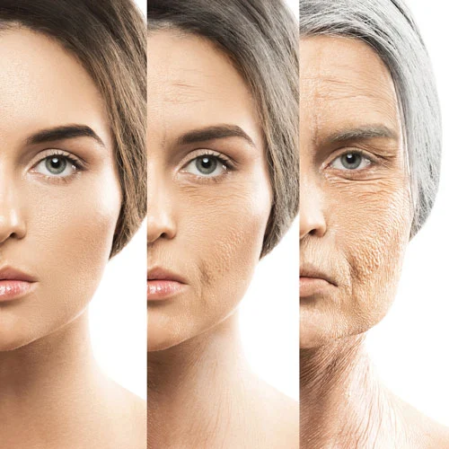 anti aging process