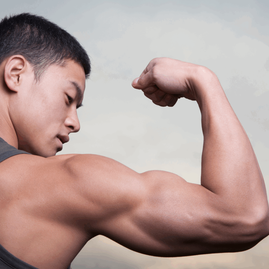 body composition